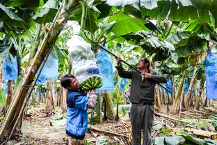 Hỏa Ký: Từ thay thế Fernando đến tuần lễ trẻ nhất trong lịch sử đội, cảm ơn U Độ Tạp đã bồi dưỡng Thân Kinh